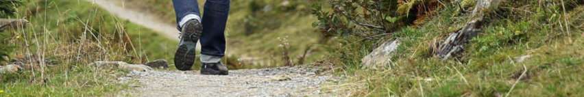 Copy of Banner.png Copy of Banner.png